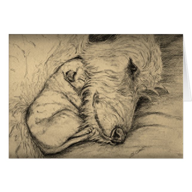 アイリッシュ・ウルフハウンドの母および子犬 (正面横)