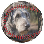 アイリッシュ・ウルフハウンド私は面白くない。 ソフトボール (正面左)