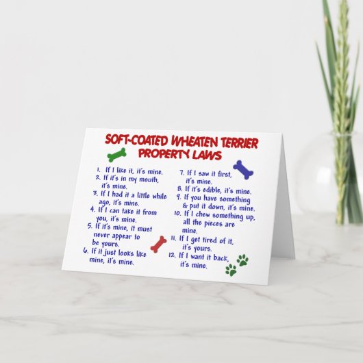 アイリッシュ・ソフトコーテッド・ウィートン・テリアの特性の法律2 カード (正面)