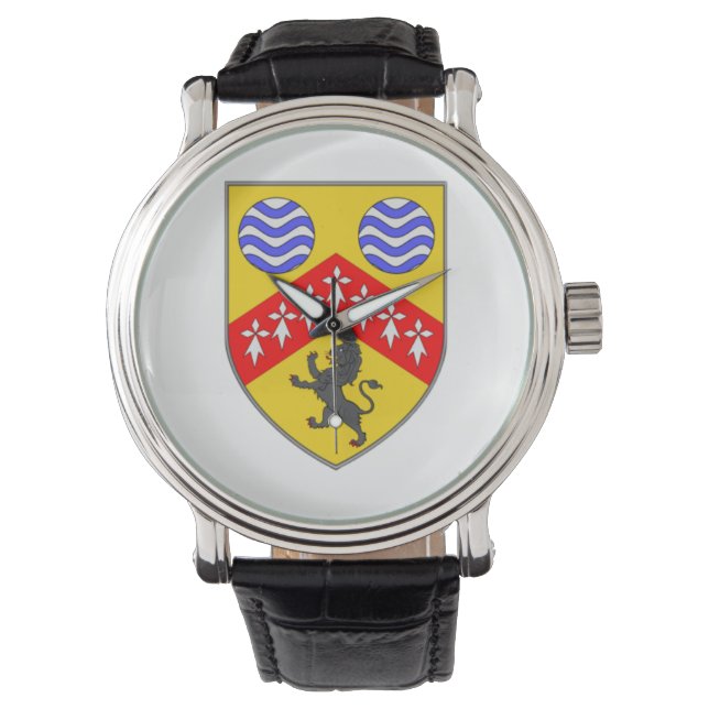 アイリパーソナライズされたッシュ郡男性の時計Co.Laois. 腕時計 (正面)