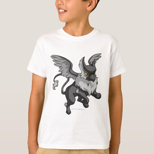 アイリーシャドウ Tシャツ (正面)