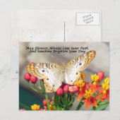 アイリ賛美ッシュはがき（ホワイトピーコック） ポストカード (正面/裏面)