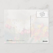 アイリ賛美ッシュはがき（ホワイトピーコック） ポストカード (裏面)