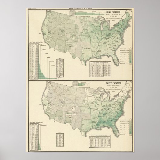 アイルランドとサツマイモと干し草 ポスター (正面)