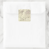 アイルランドとドイツの人口1870年 スクエアシール (バッグ)