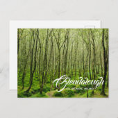 アイルランドのウィクロウ郡はがき ポストカード (正面/裏面)