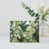 アイルランドのエキゾチックな花 ポストカード (スタンド正面)