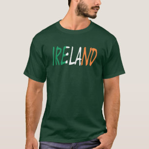 アイルランドのオーバーレイオンアイルランドフラグメンズベーシックT cn Tシャツ