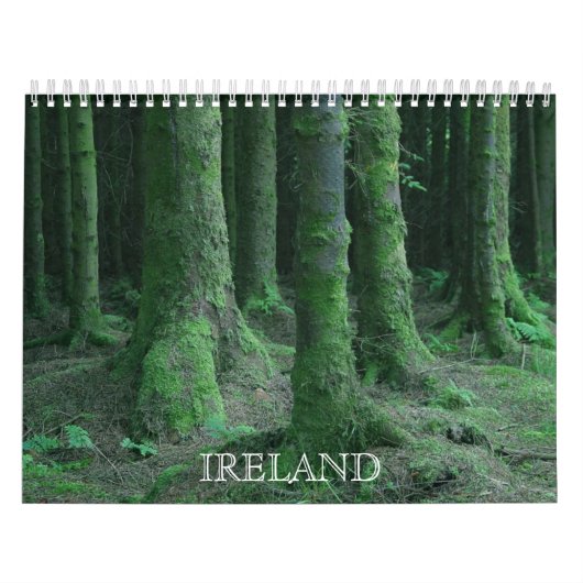 アイルランドのカレンダーからの眺め カレンダー (カバー)