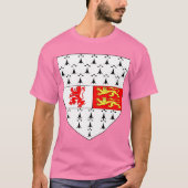 アイルランドのカローカウンティクレスト Tシャツ (正面)