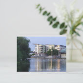 アイルランドのカロータウン、バロー川の白鳥 ポストカード (スタンド正面)