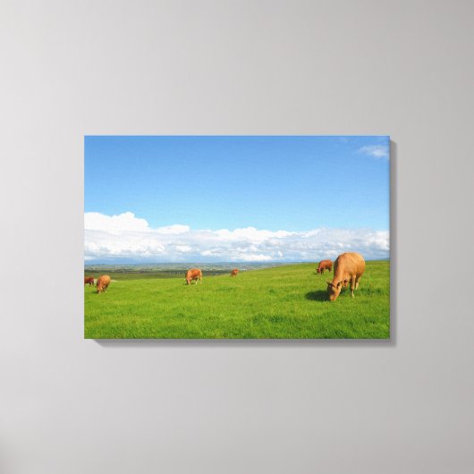 アイルランドのキャンバス印刷の牧草地で牛が放牧 キャンバスプリント (正面)