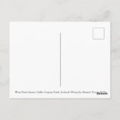 アイルランドのコバ葉書 ポストカード (裏面)