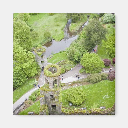 アイルランドのコルク。悪名高いブラニー城 マグネット (正面)