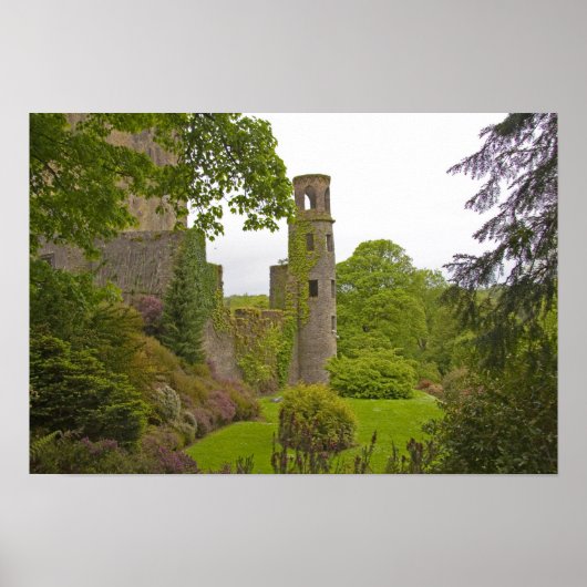 アイルランドのコルク。悪名高きブラニー城2 ポスター (正面)
