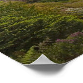 アイルランドのコルク。悪名高きブラニー城2 ポスター (角)