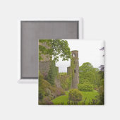 アイルランドのコルク。悪名高きブラニー城2 マグネット (正面/裏面)