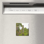 アイルランドのコルク。悪名高きブラニー城2 マグネット (インサイチュ (食洗機))