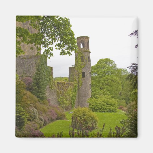 アイルランドのコルク。悪名高きブラニー城2 マグネット (正面)