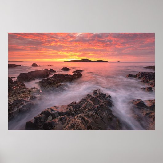 アイルランドのコーク郡バリーコットン ポスター (正面)