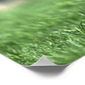 アイルランドのサラブレッド・ホース ポスター (角)