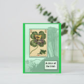 アイルランドのシャムロック ポストカード (スタンド正面)