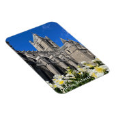 アイルランドのダブリンにあるキリスト教会 マグネット (右側)