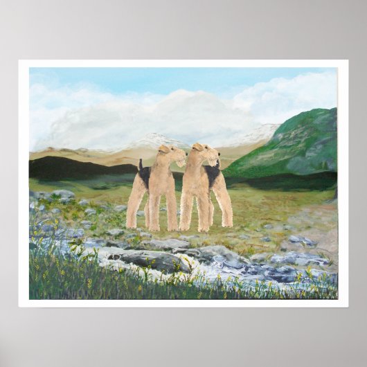 アイルランドのテリア ポスター (正面)