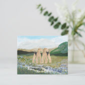 アイルランドのテリア ポストカード (スタンド正面)