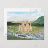 アイルランドのテリア ポストカード (正面/裏面)