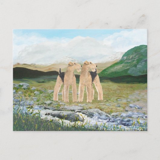 アイルランドのテリア ポストカード (正面)