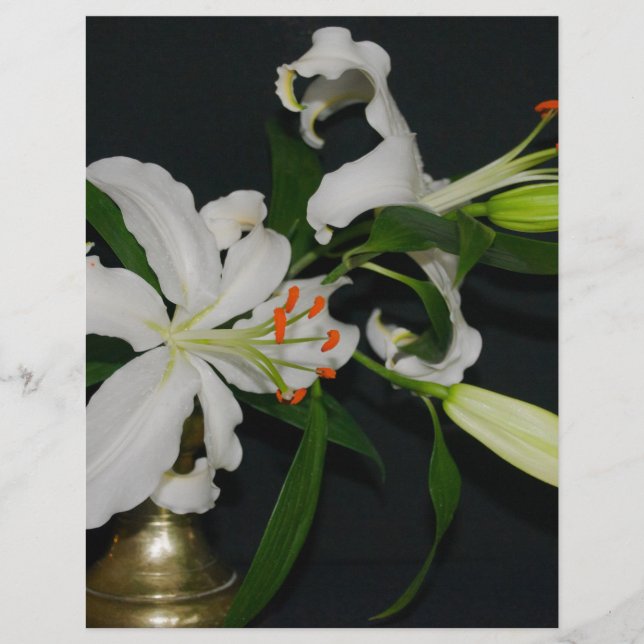 アイルランドのデザイン – ブラスとフラワーコレクション (正面)