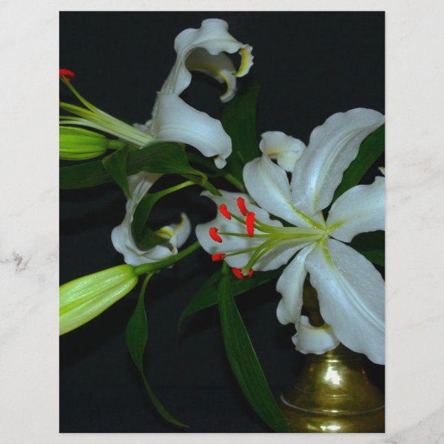 アイルランドのデザイン – ブラスとフラワーコレクション (正面)