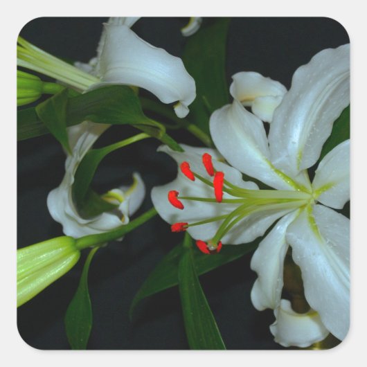 アイルランドのデザイン – ブラスとフラワーコレクション スクエアシール (正面)