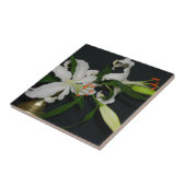 アイルランドのデザイン – ブラスとフラワーコレクション タイル (側面)