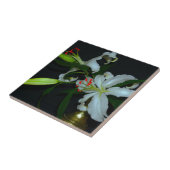 アイルランドのデザイン – ブラスとフラワーコレクション タイル (側面)