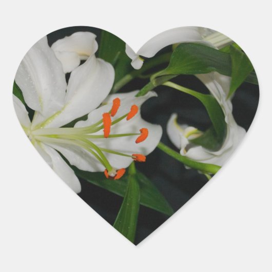 アイルランドのデザイン – ブラスとフラワーコレクション ハートシール (正面)