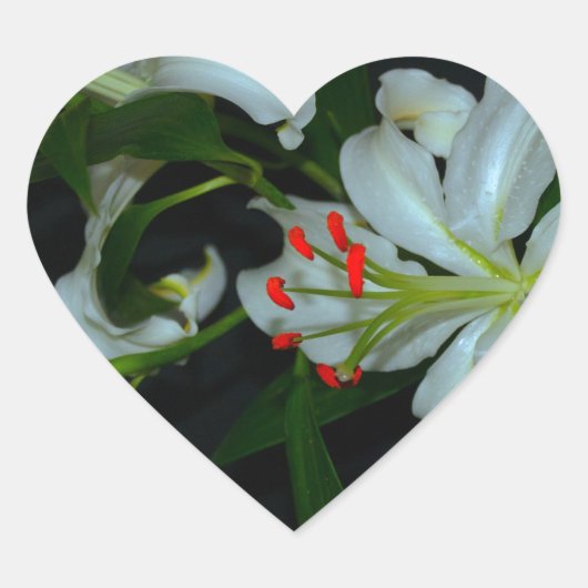 アイルランドのデザイン – ブラスとフラワーコレクション ハートシール (正面)