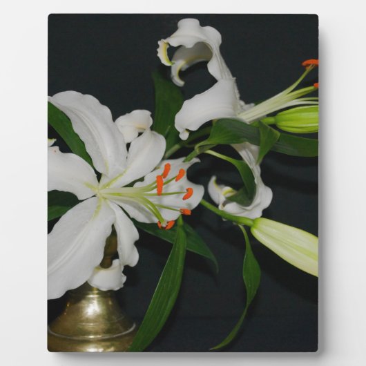 アイルランドのデザイン – ブラスとフラワーコレクション フォトプラーク (正面)