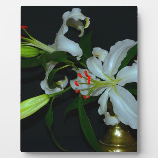 アイルランドのデザイン – ブラスとフラワーコレクション フォトプラーク (正面)