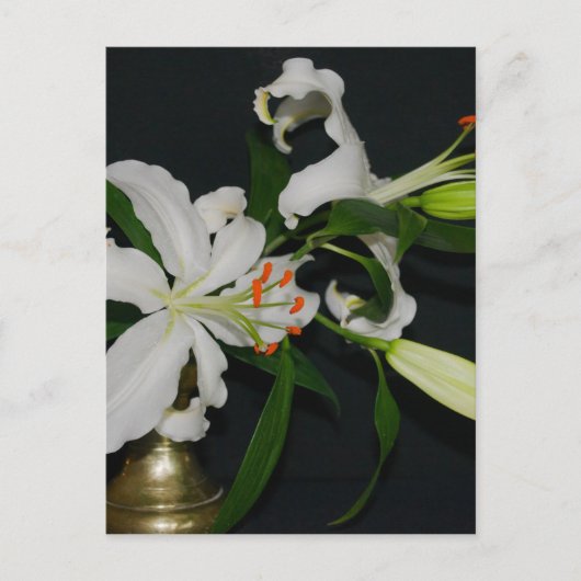 アイルランドのデザイン – ブラスとフラワーコレクション ポストカード (正面)