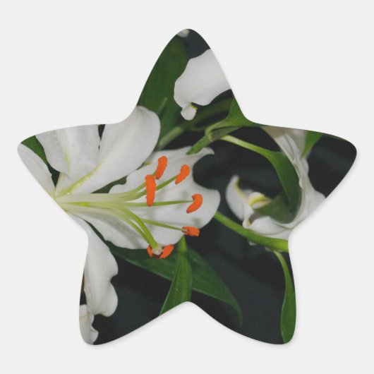 アイルランドのデザイン – ブラスとフラワーコレクション 星シール (正面)