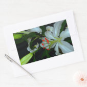 アイルランドのデザイン – ブラスとフラワーコレクション 長方形シール (封筒)