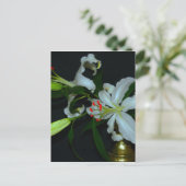 アイルランドのデザイン - 真鍮と花コレクション ポストカード (スタンド正面)