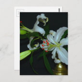 アイルランドのデザイン - 真鍮と花コレクション ポストカード (正面/裏面)