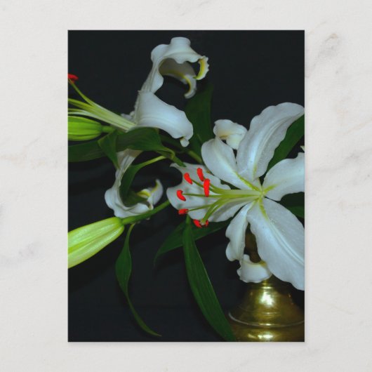 アイルランドのデザイン - 真鍮と花コレクション ポストカード (正面)