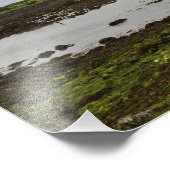 アイルランドのデュングアール城の写真プリント フォトプリント            (角)