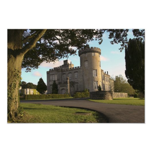 アイルランドのドロモランド城側の入り口 フォトプリント            (正面)