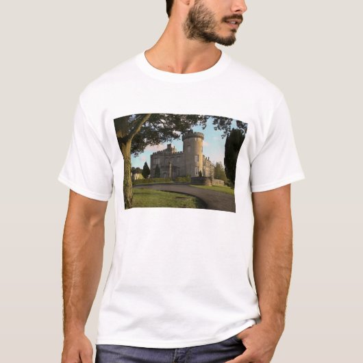 アイルランドのドロモランド・キャッスルの脇の入り口 Tシャツ (正面)