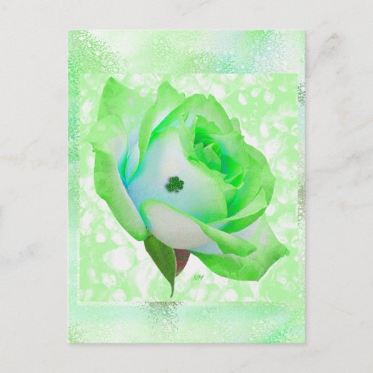 アイルランドのバラと記念日！カード ポストカード (正面)